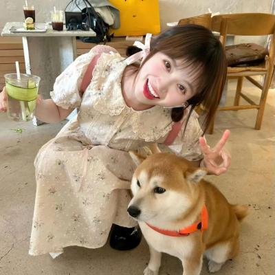 朝颜