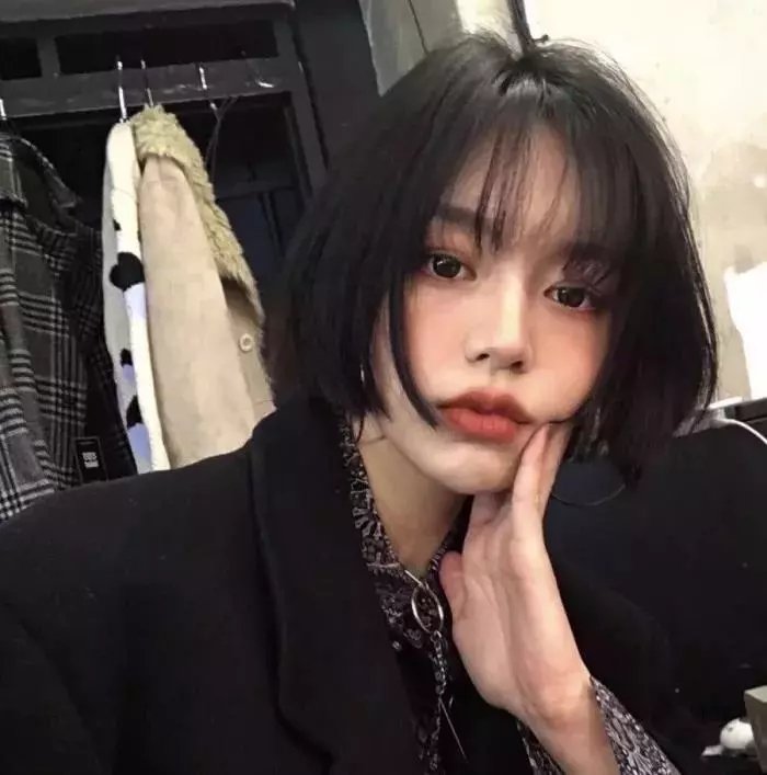 智利,我的理想国